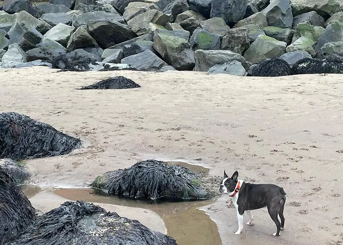 Whitby-captains House - 4 Bed Luxury *