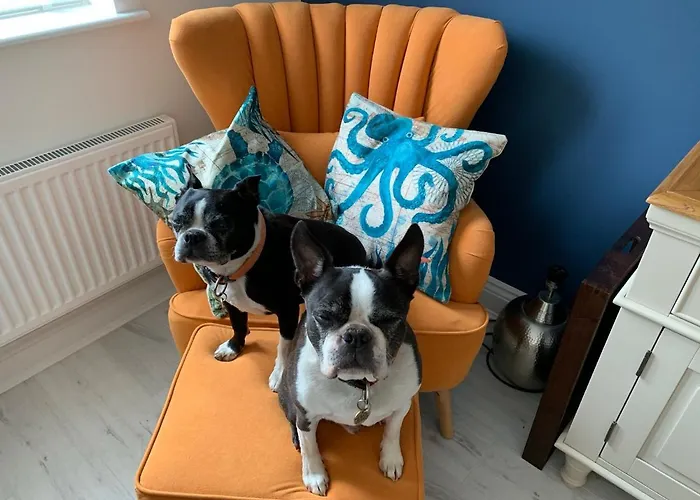 Whitby-captains House - 4 Bed Luxury * Whitby