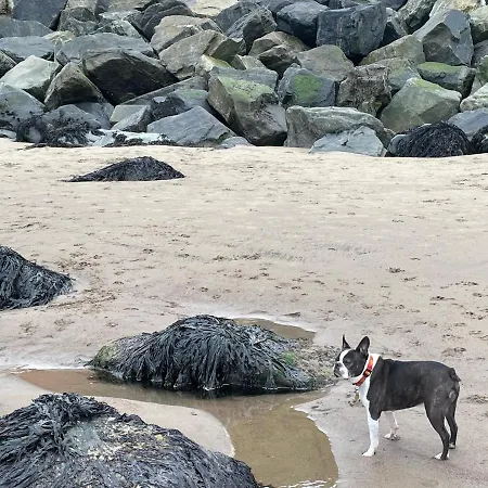 Whitby-captains House - 4 Bed Luxury *