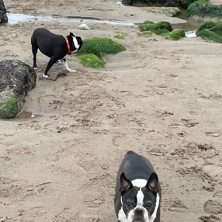 Whitby-captains House - 4 Bed Luxury Σπίτι διακοπών