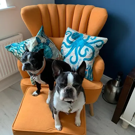 Whitby-captains House - 4 Bed Luxury * Γουίτμπι