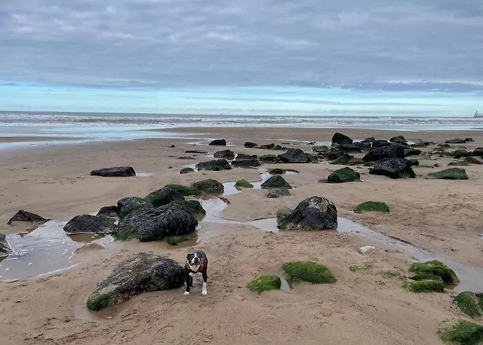 Whitby-captains House - 4 Bed Luxury Holiday home