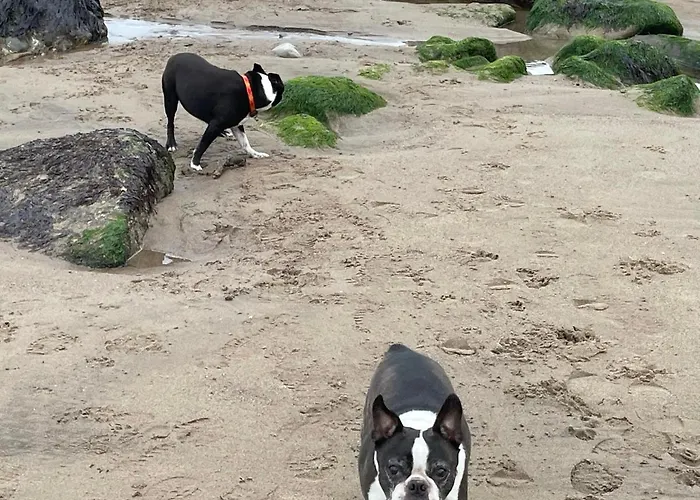 Whitby-captains House - 4 Bed Luxury Holiday home